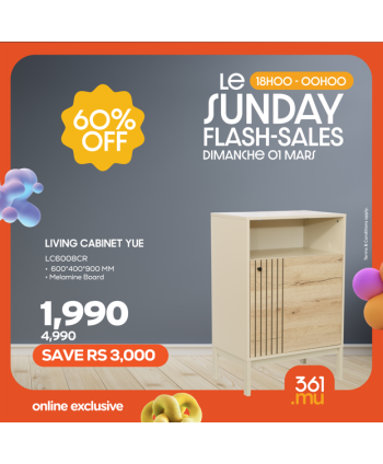 LIVING CABINET YUE 600*400*900 MM PB MELAMINE BOARD  BS-N2408B1