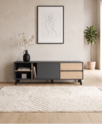 LIVING TV UNIT CENTURY SGY_TV_032_2 H 500 W1600D 400MM