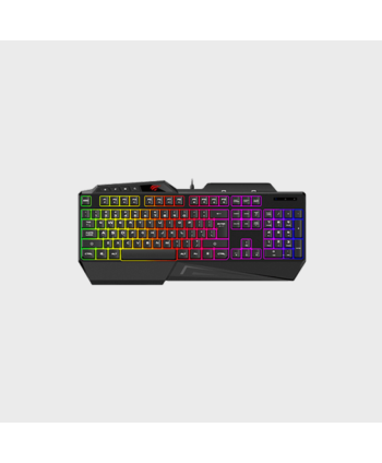 HAVIT GAMING KEYBOARD KB488L