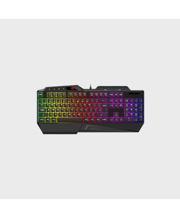 HAVIT GAMING KEYBOARD KB488L